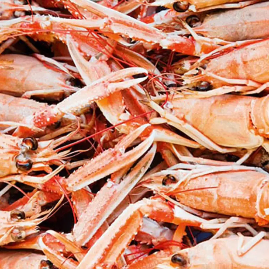 come-pulire-gli-scampi