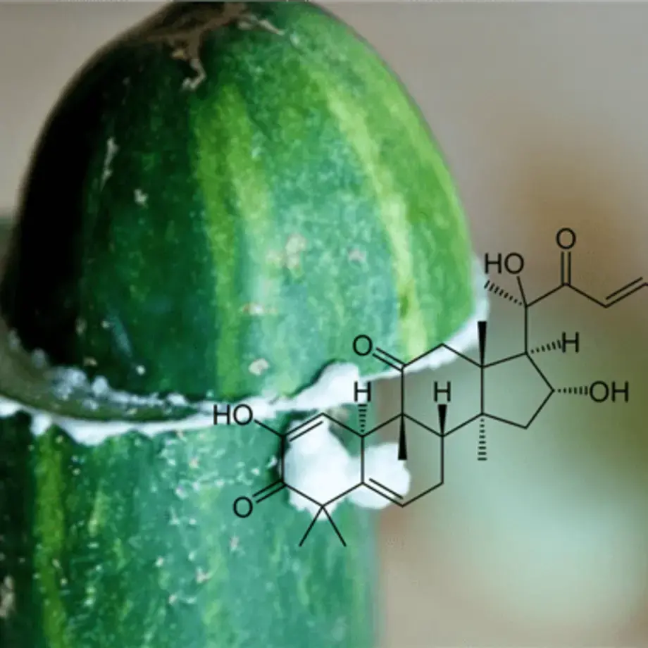 come-togliere-amaro-cetrioli