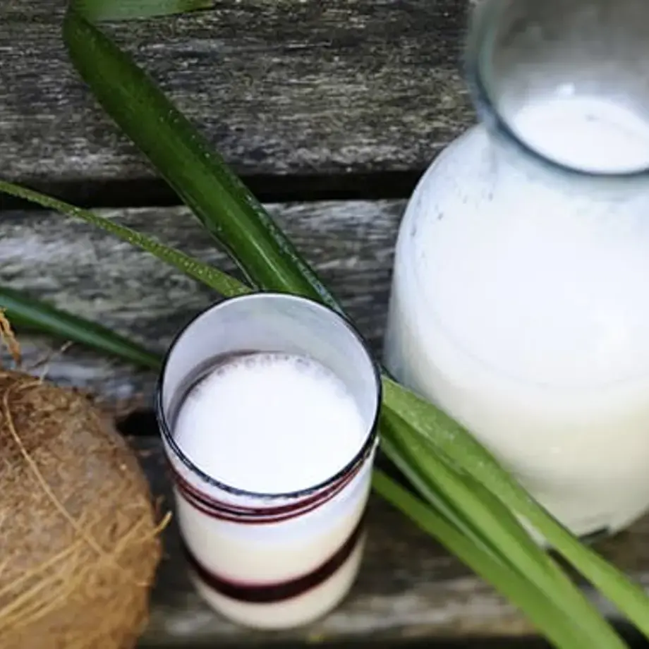 come-usare-il-latte-di-cocco-in-cucina