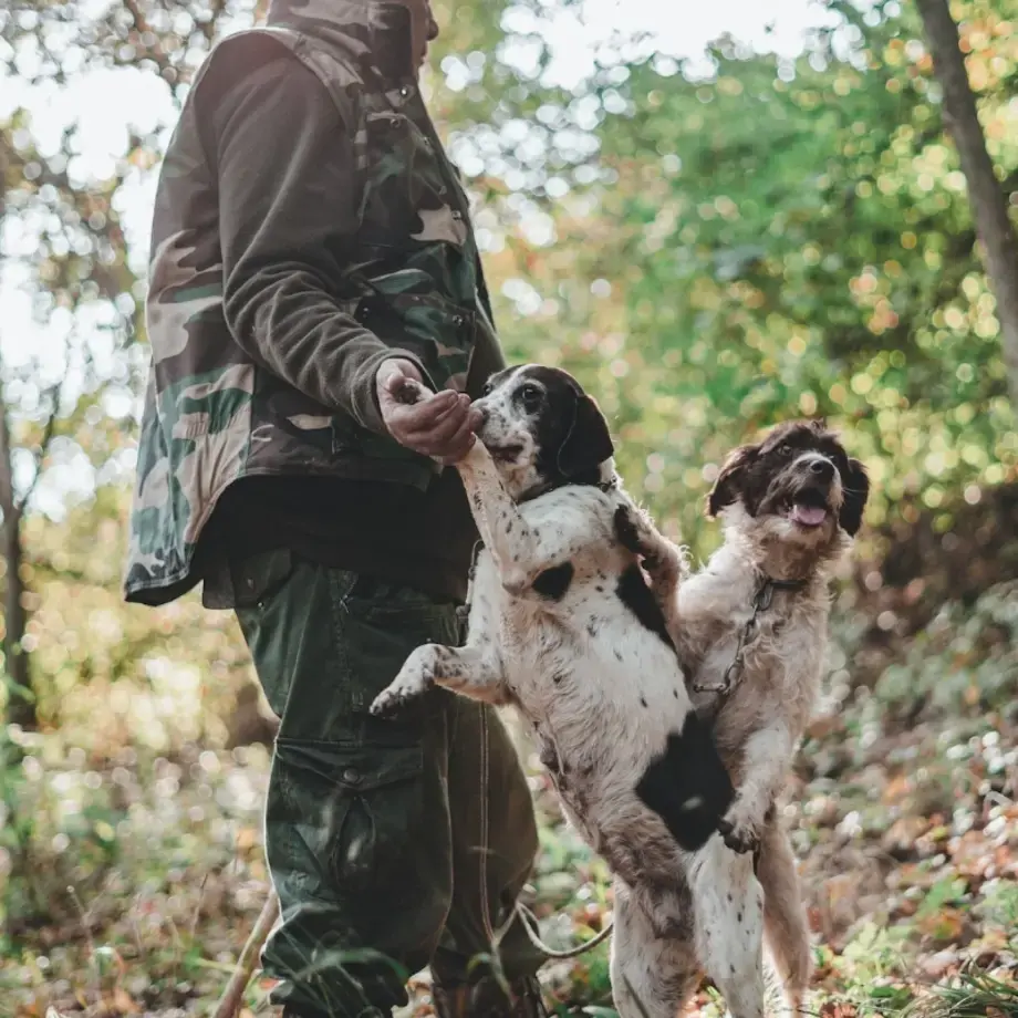 Esperienze enogastronomiche autunno 2023