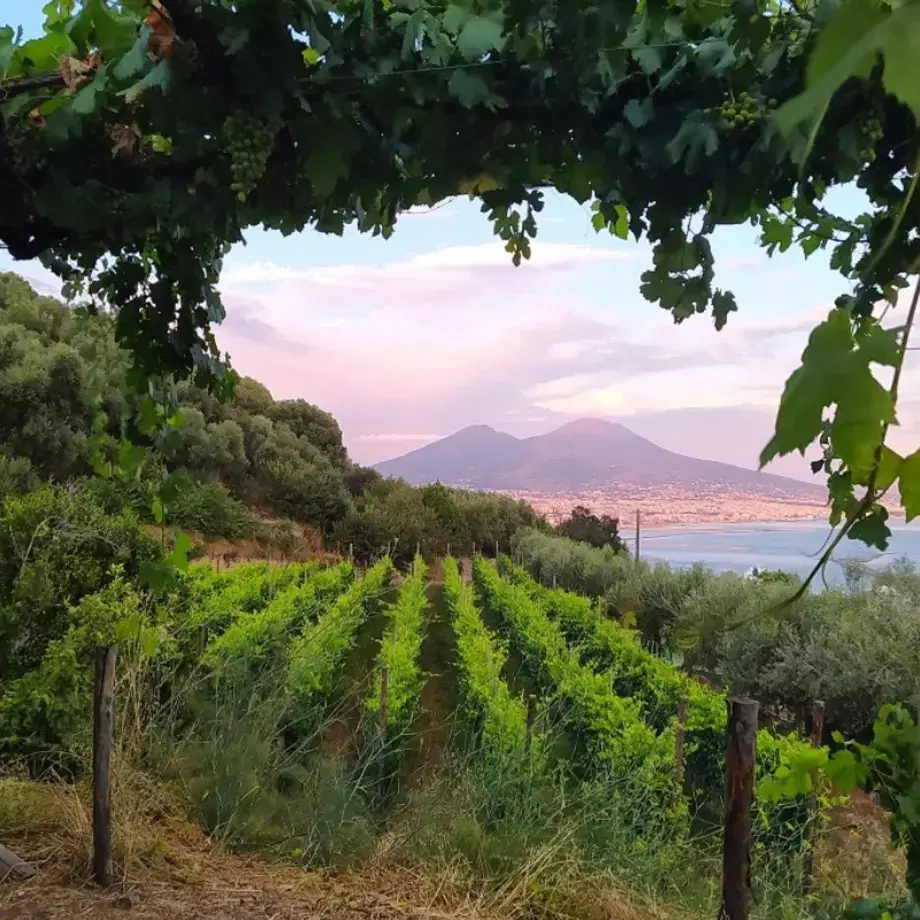 Gli eventi food da non perdere a maggio 2023