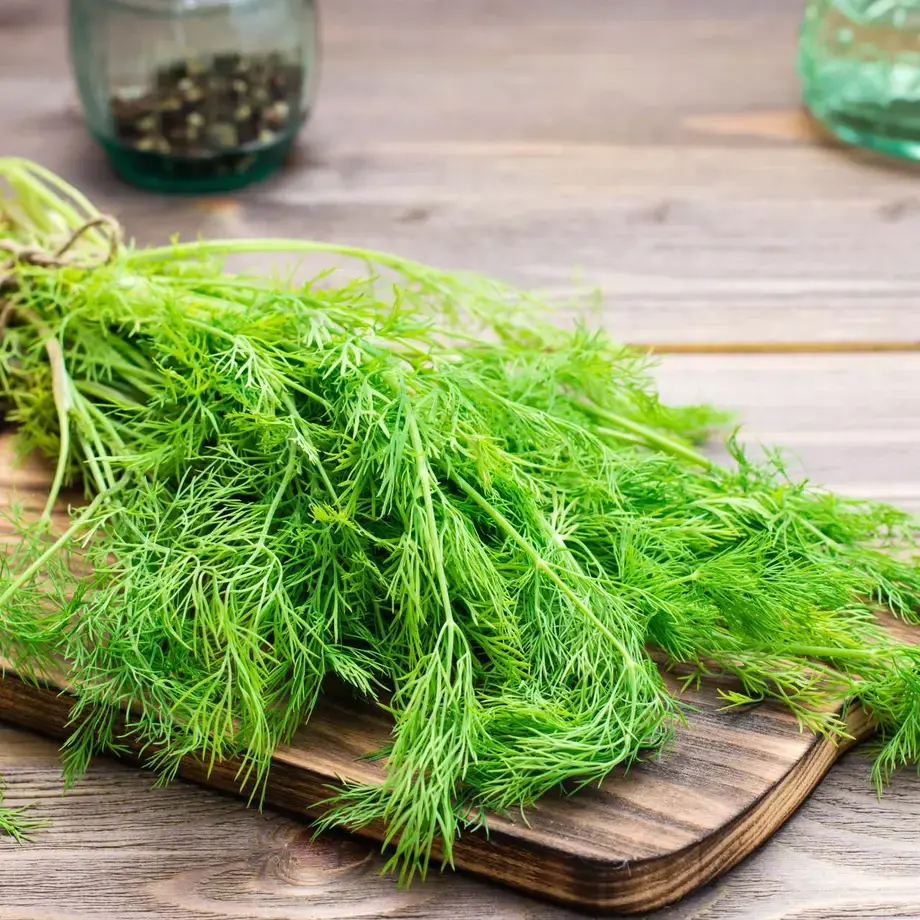 finocchietto selvatico - Fine Dining Lovers