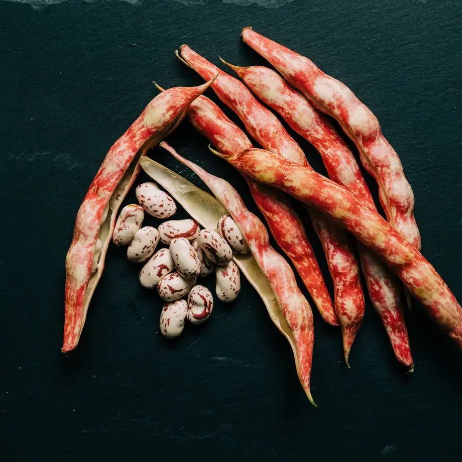 Perché si dice cadere a fagiolo