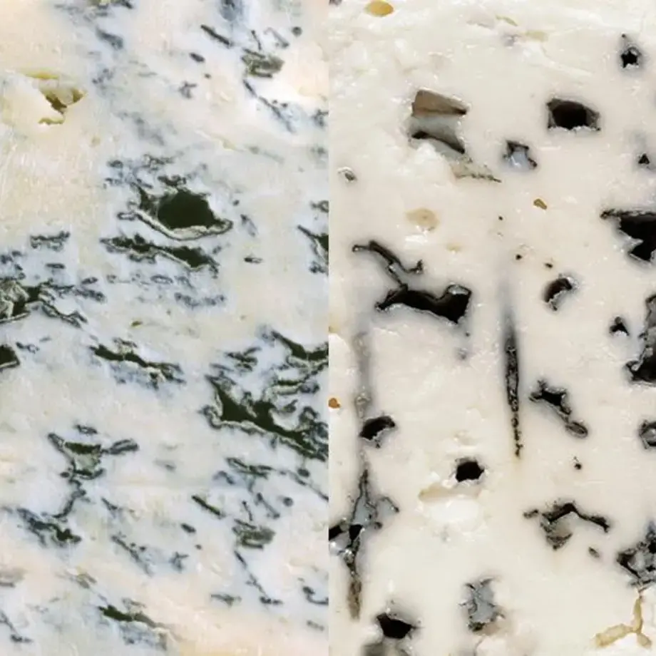 gorgonzola-roquefort-differenza