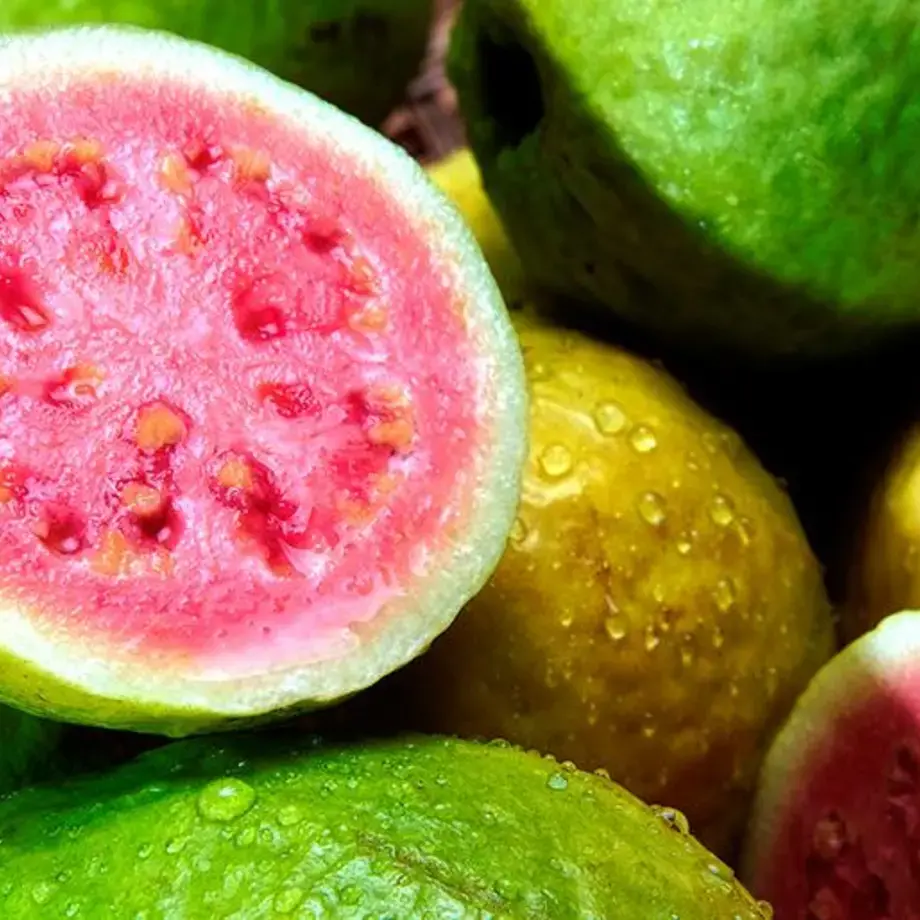 guava