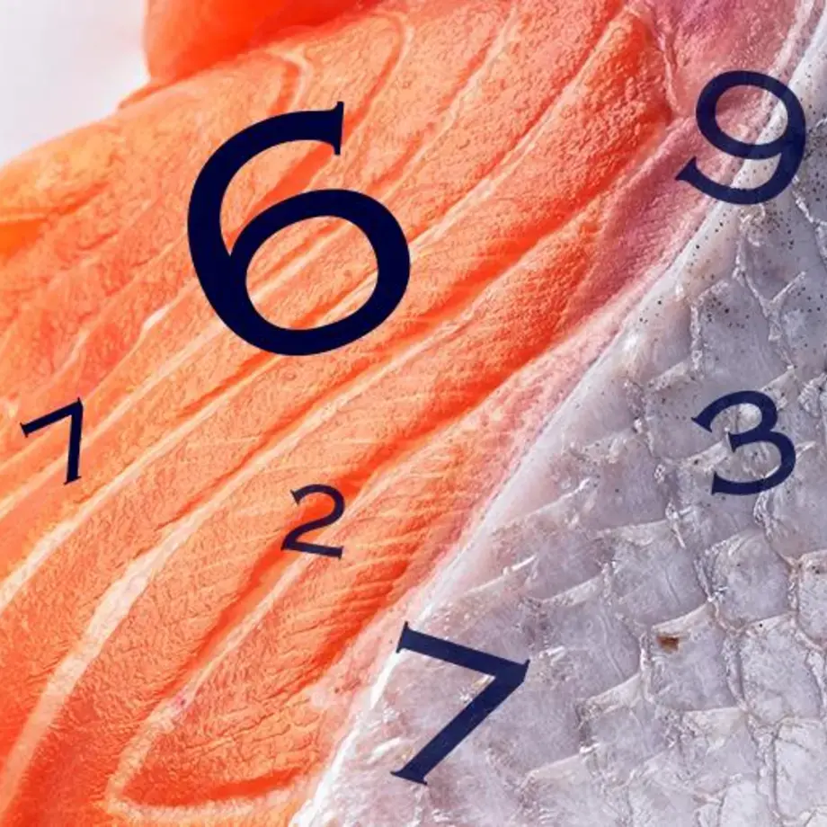 i-numeri-del-salmone