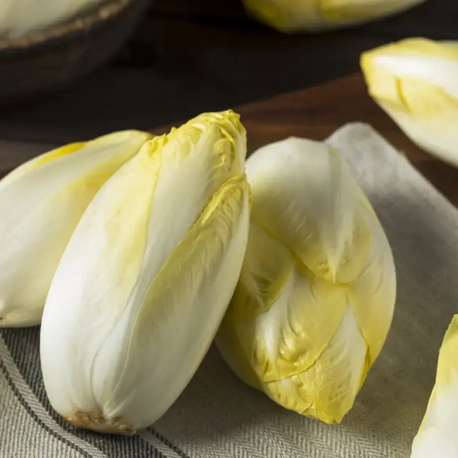 ricette con indivia belga - Fine Dining Lovers