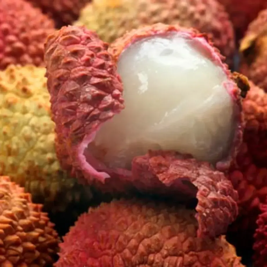 litchi-frutto