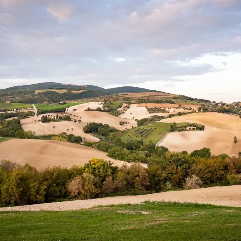 I migliori ristoranti di Macerata e provincia: gli indirizzi da non perdere