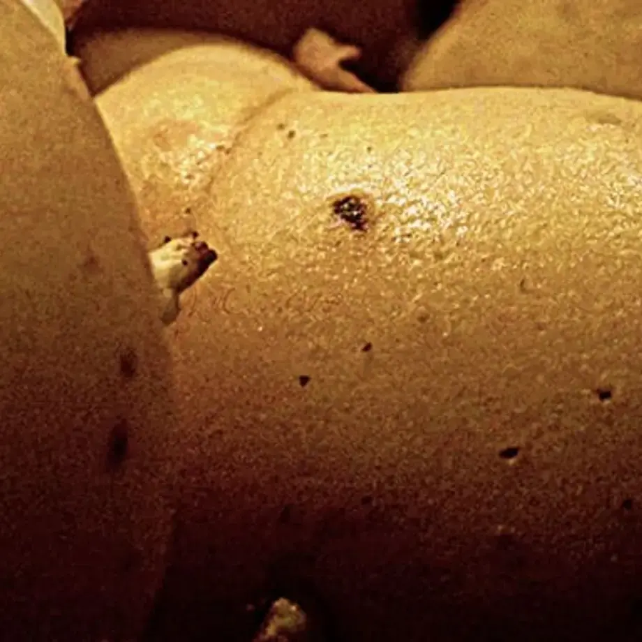 pelare-le-patate-velocemente