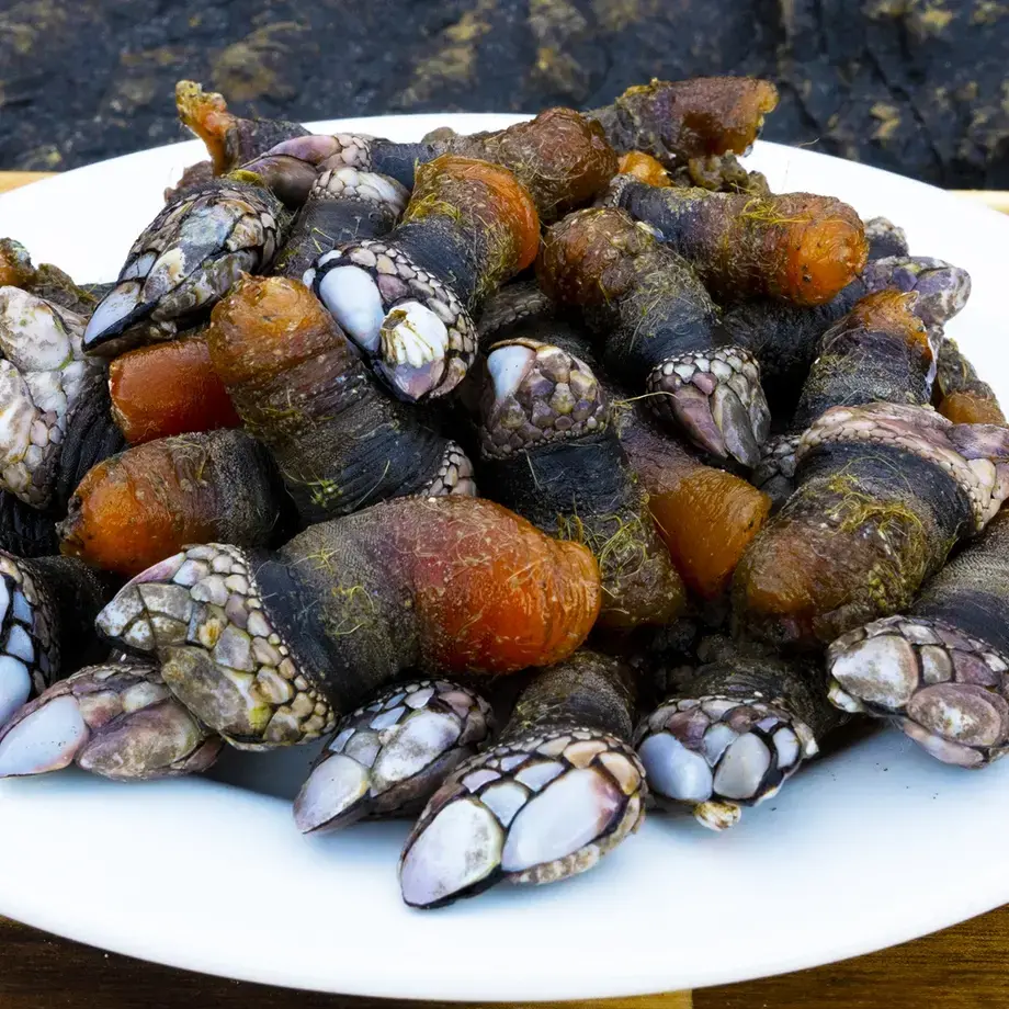 percebes