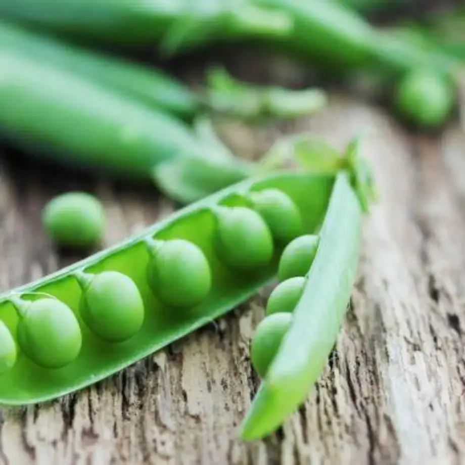 Ricette con piselli freschi