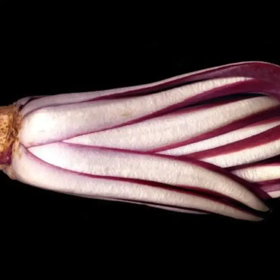 prodotti-tipici-veneti