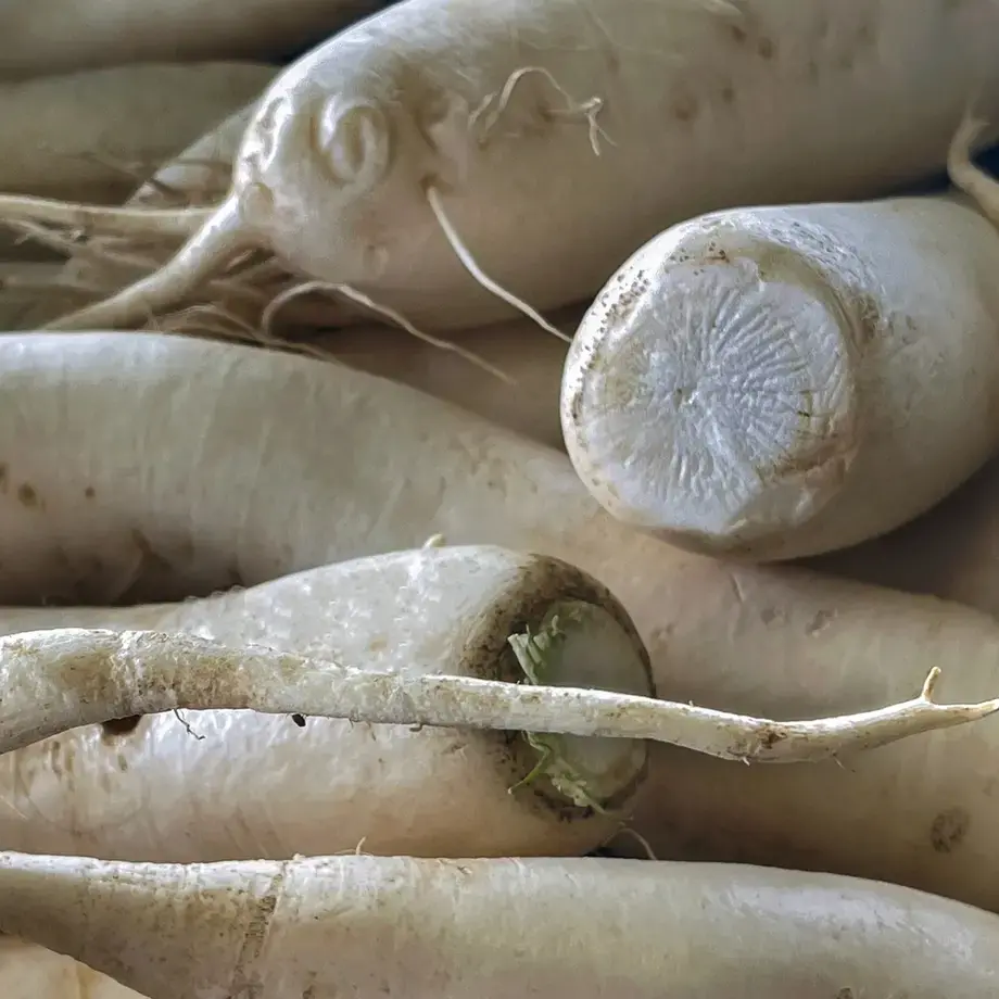 Rafano - Fine Dining Lovers