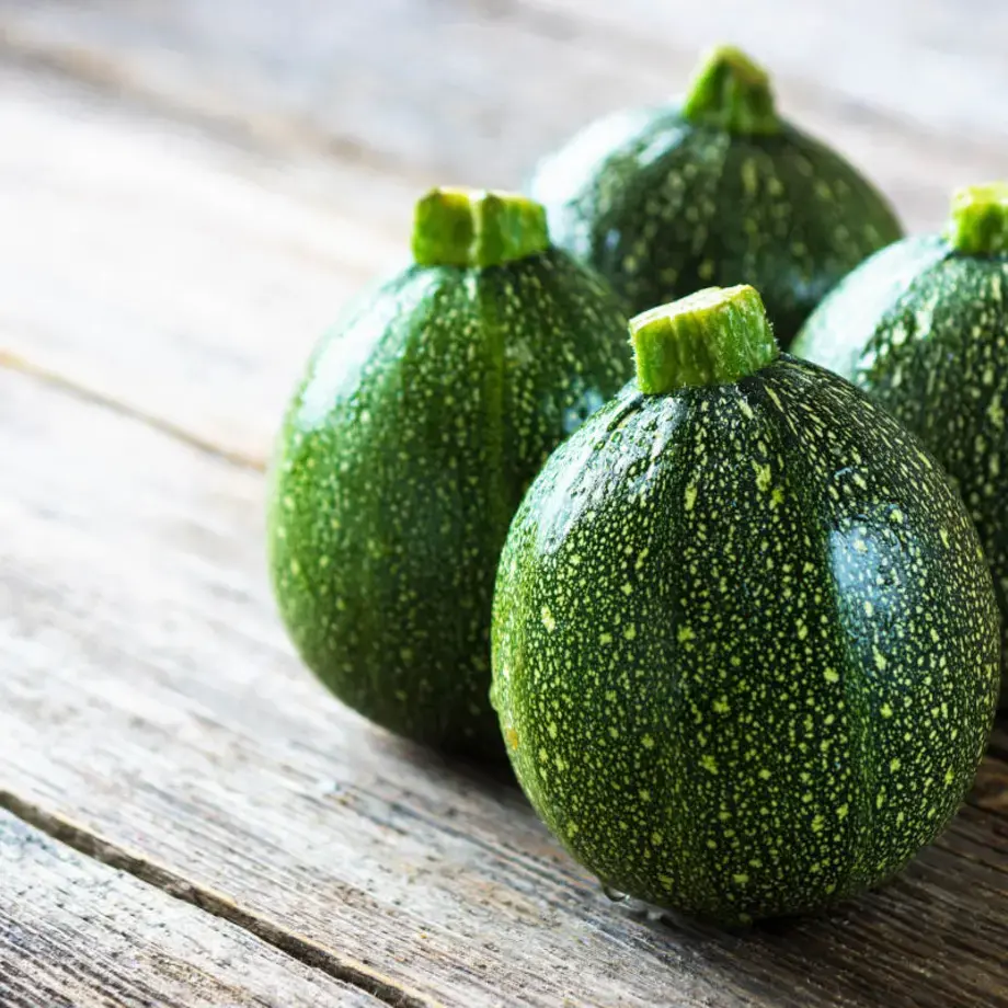 zucchine tonde - Fine Dining Lovers