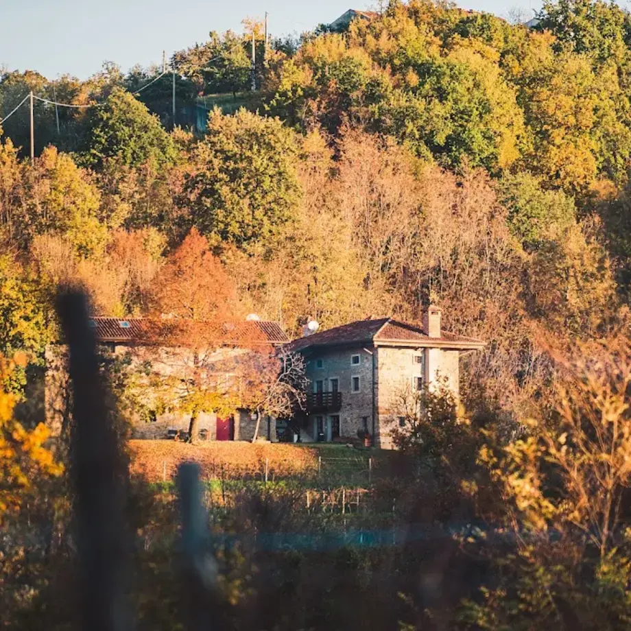 Agriturismo Ronchi Rò