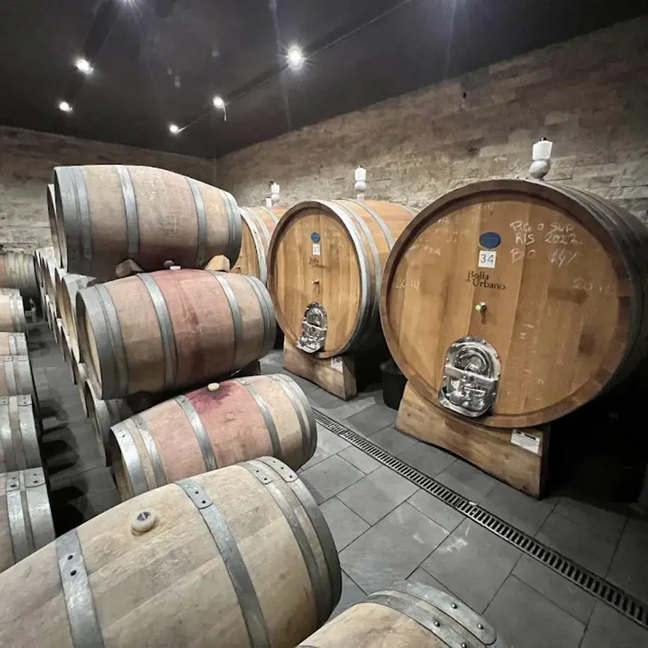 Azienda Agricola Pileum