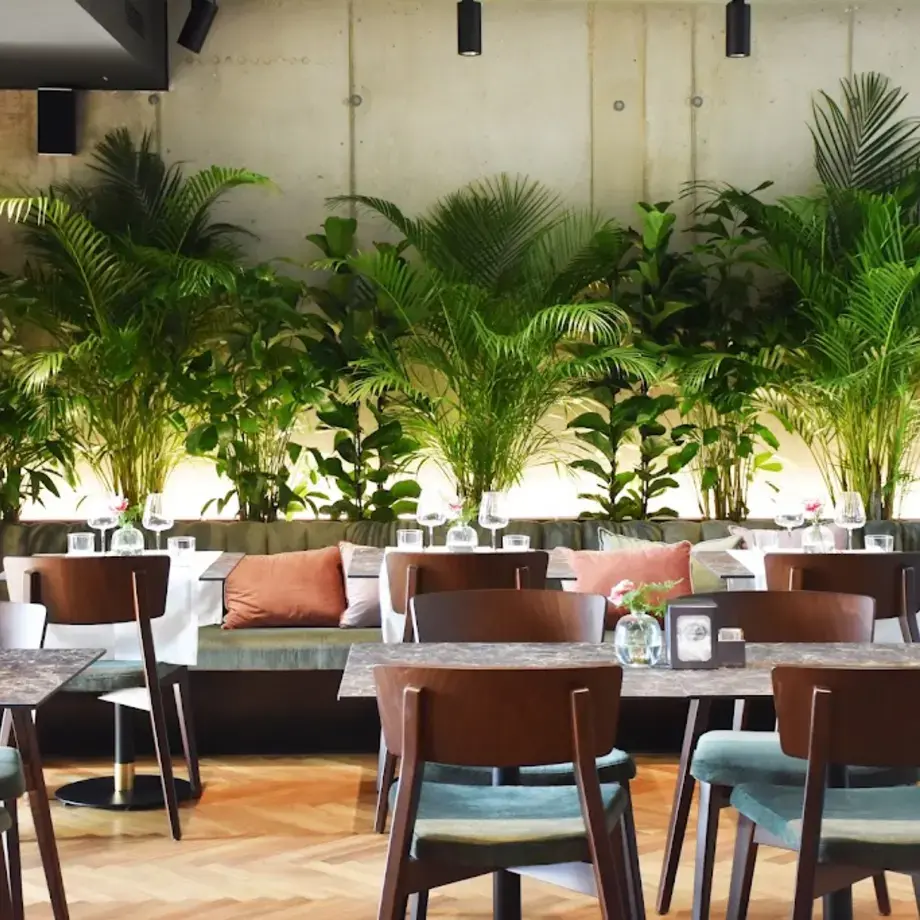 Charta eat &amp; drink