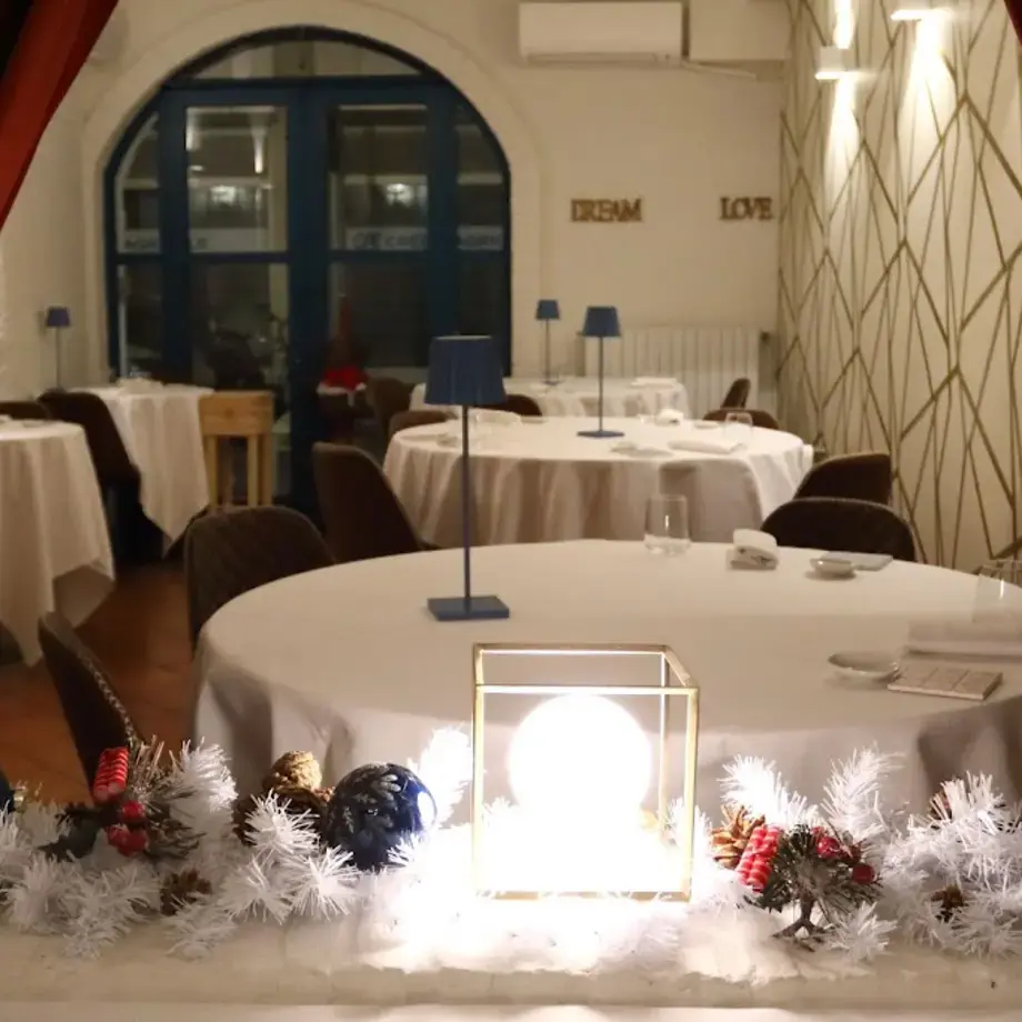 Il Gatto sull'Albicocco