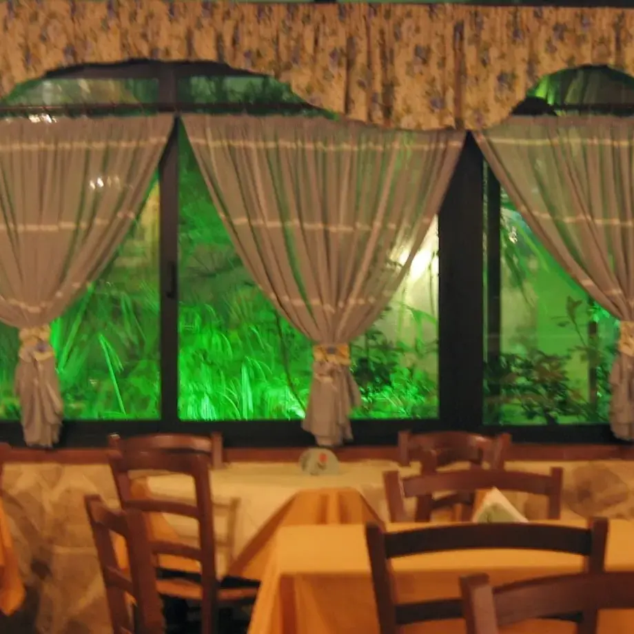 Pizzeria Pulcinella Trani