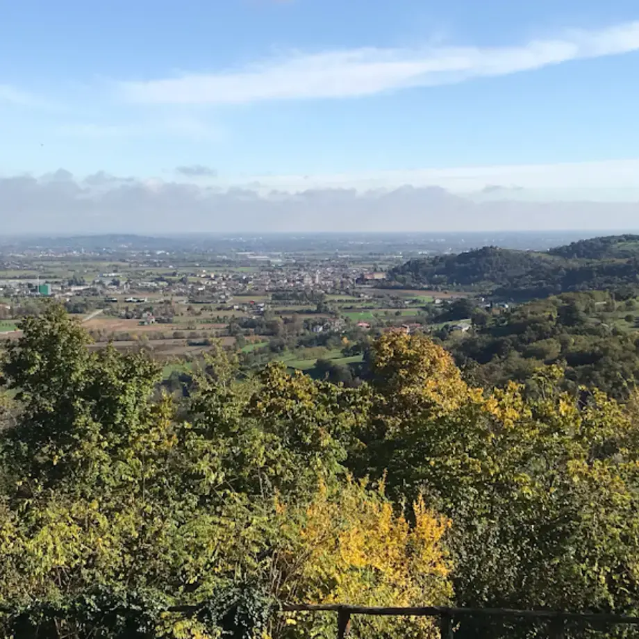 Ristorante La Favellina