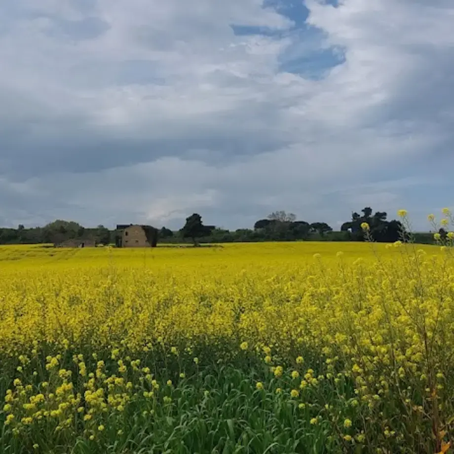 Strada Statale 16 Adriatica