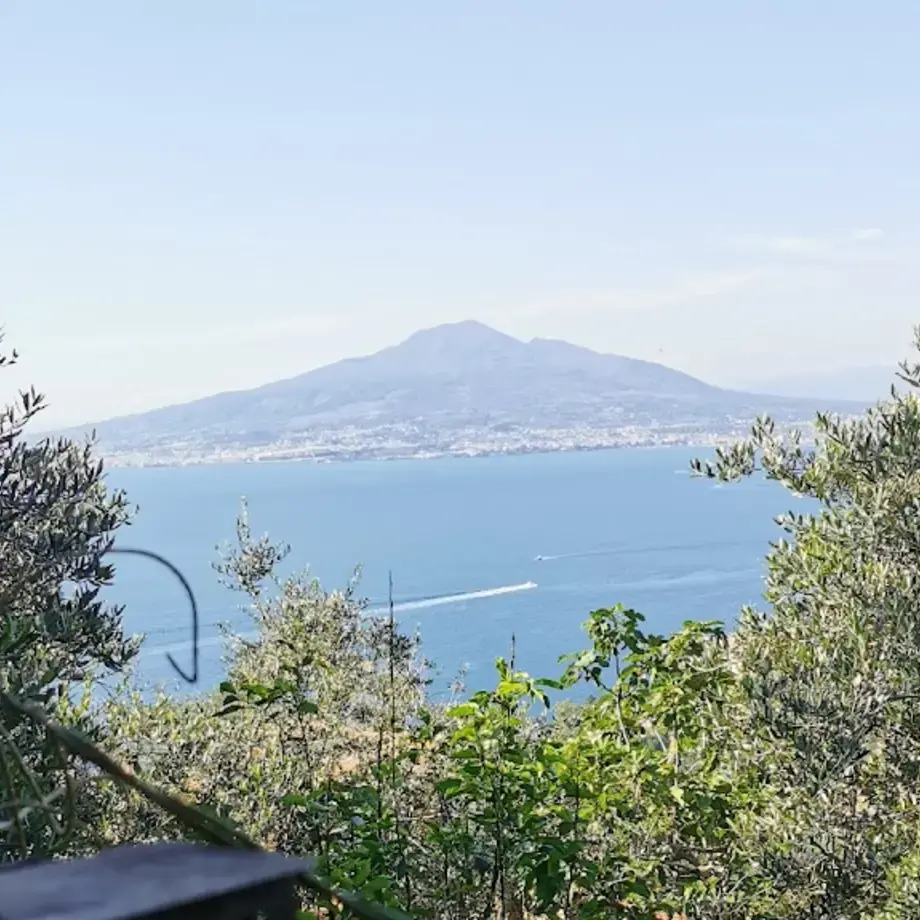 Villa Rosa di Nonna Rosa