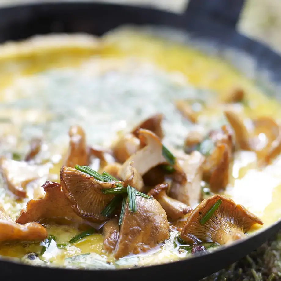 frittata di finferli