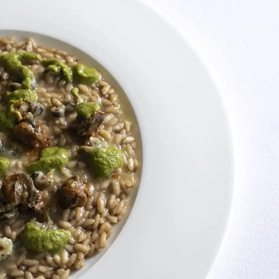 risotto-aglio-lumache-ricetta