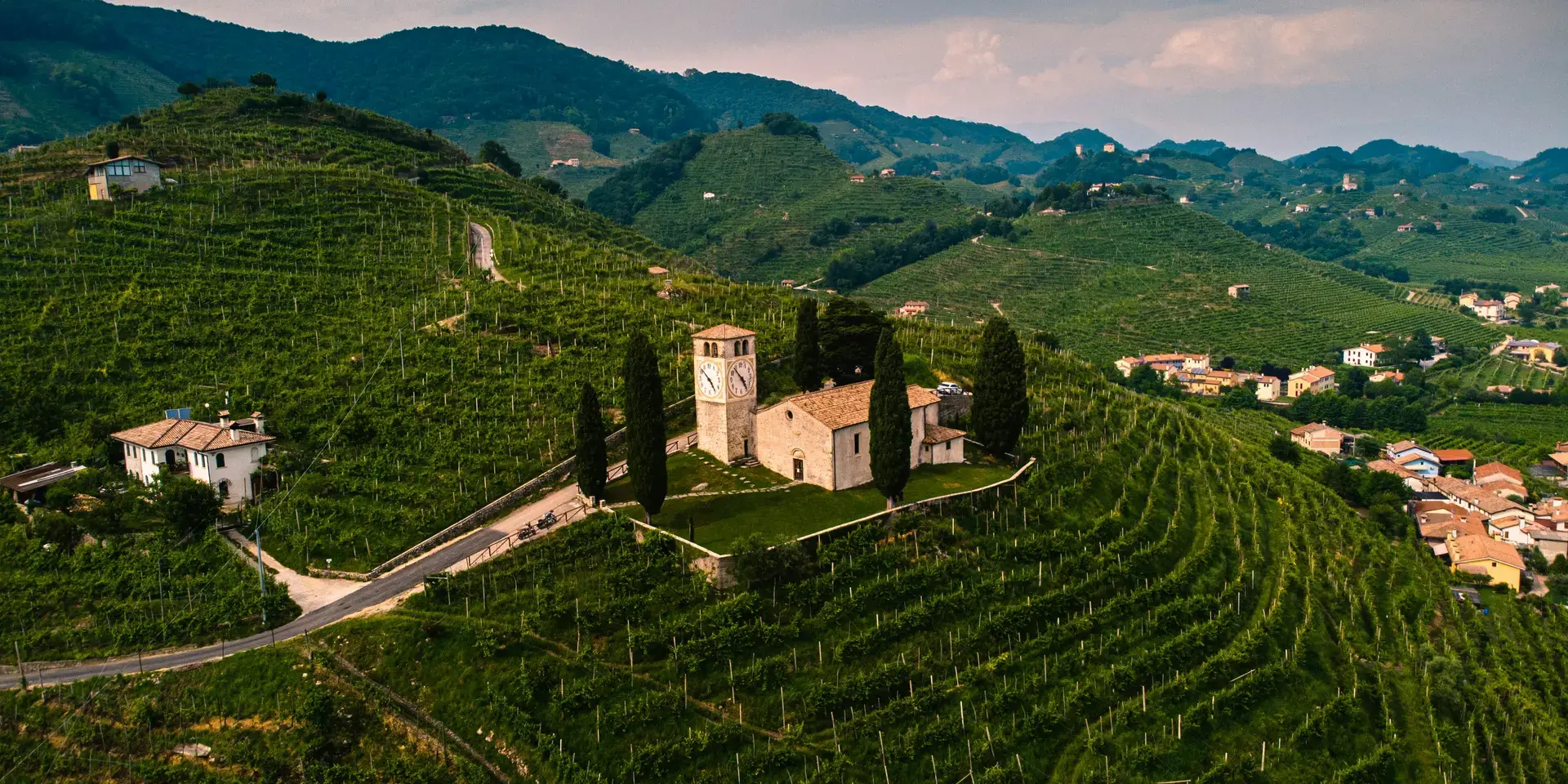Veduta aerea del campo di erba verde e degli alberi durante il giorno