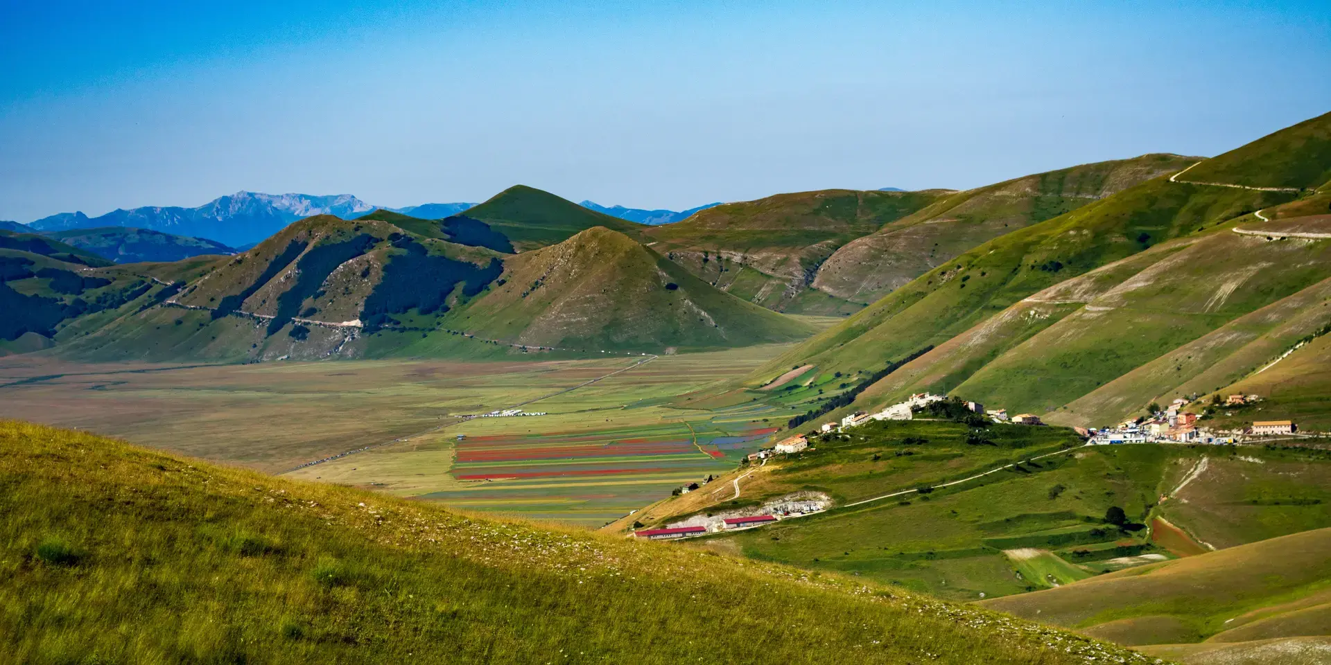 campo di erba verde vicino alla montagna sotto il cielo blu durante il giorno