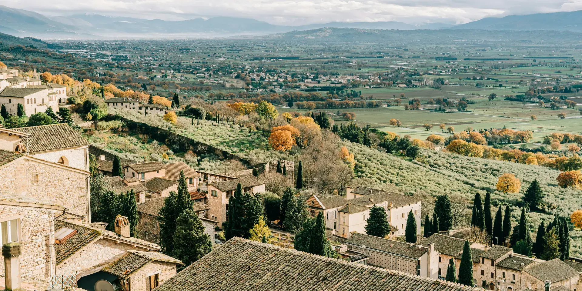 veduta aerea di case e alberi durante il giorno