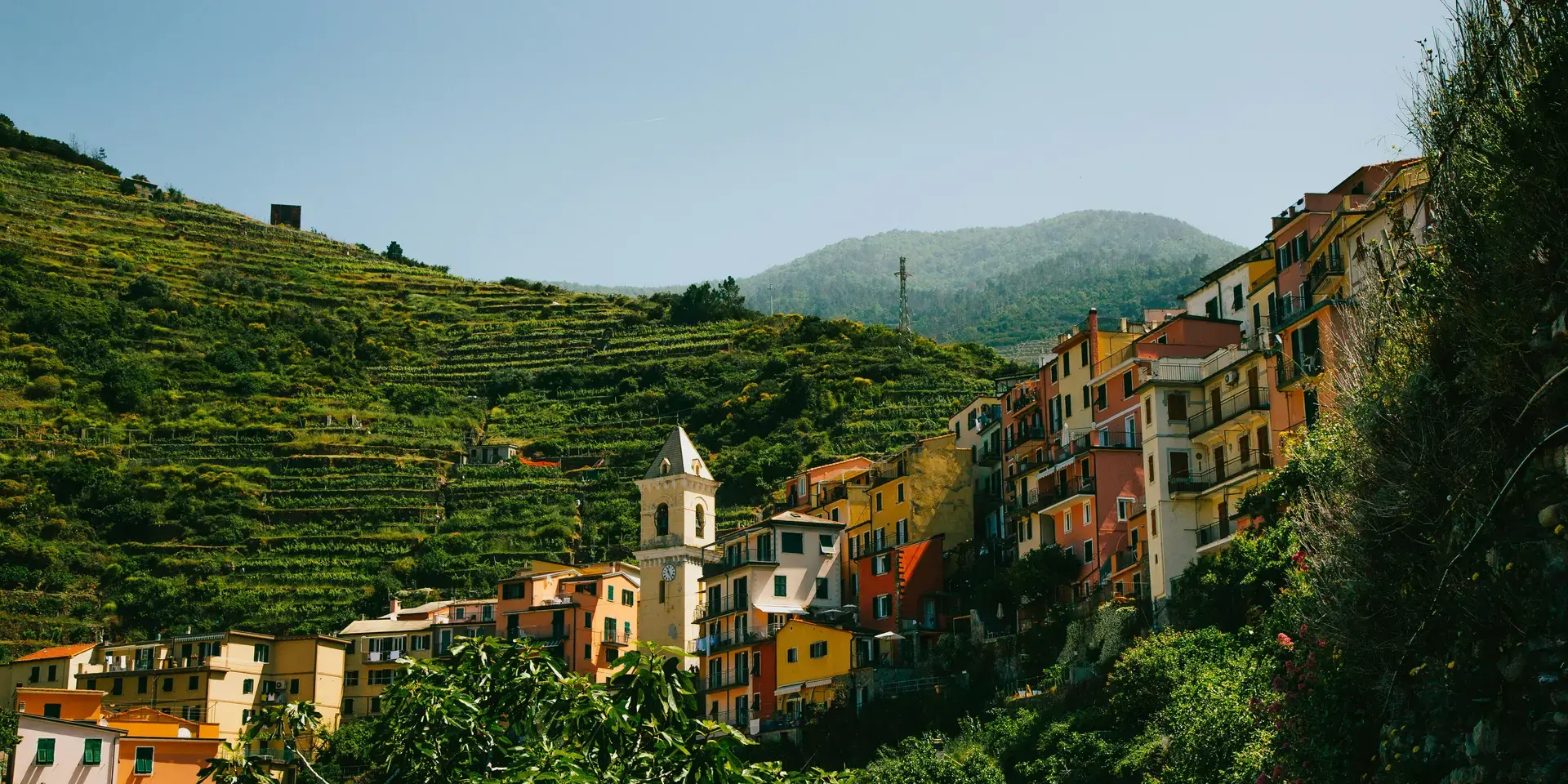 case di cemento vicino agli alberi
