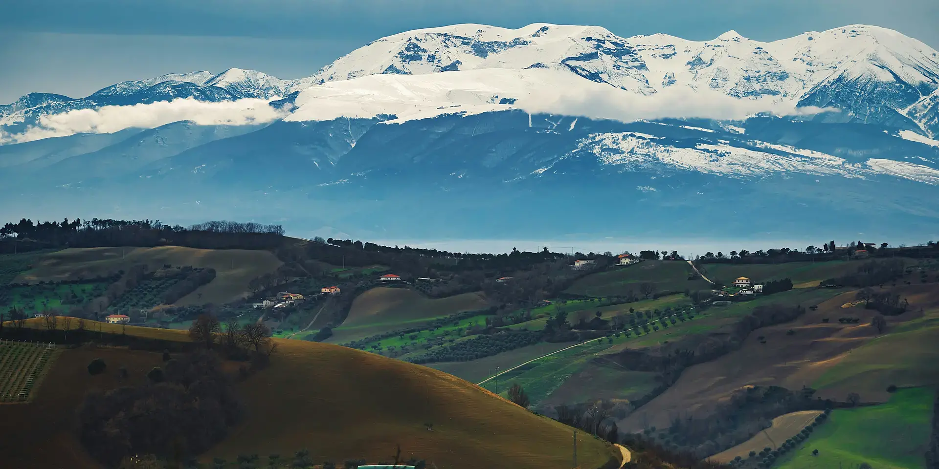 alberi e montagne verdi sotto nuvole bianche e cielo blu durante il giorno