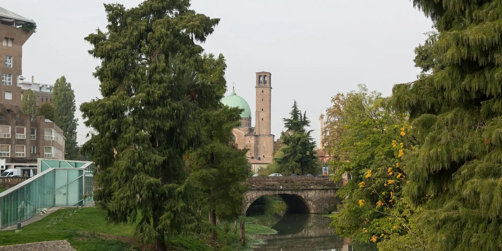un fiume con un ponte e alberi