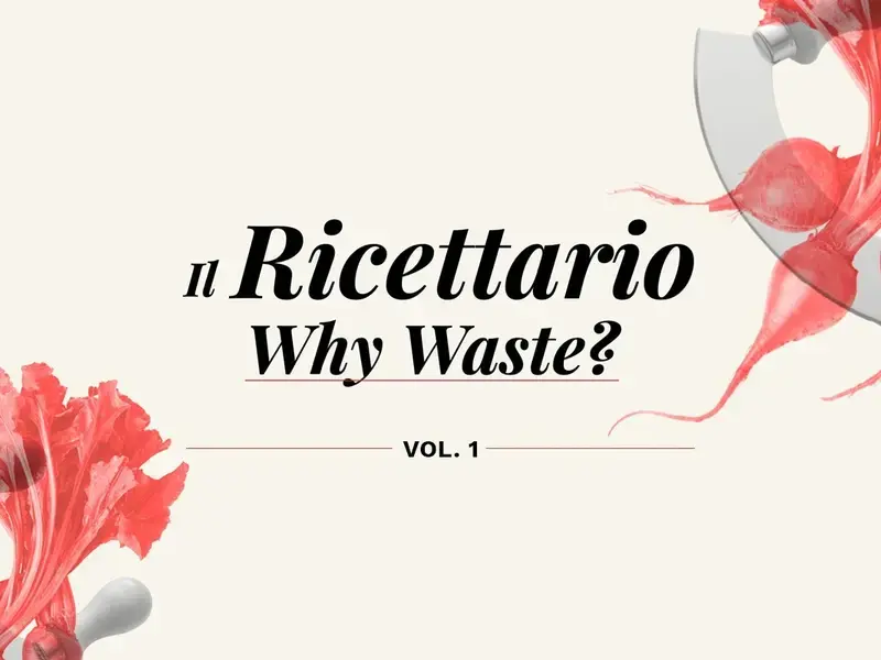 Why Waste? Cookbook vol 1