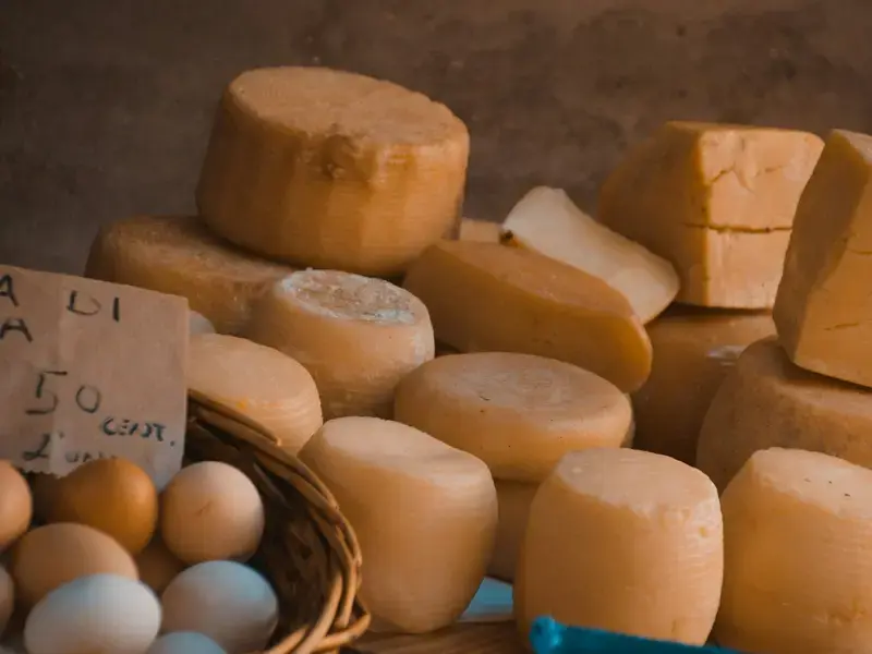 Non solo formaggi: i migliori produttori della campagna lodigiana