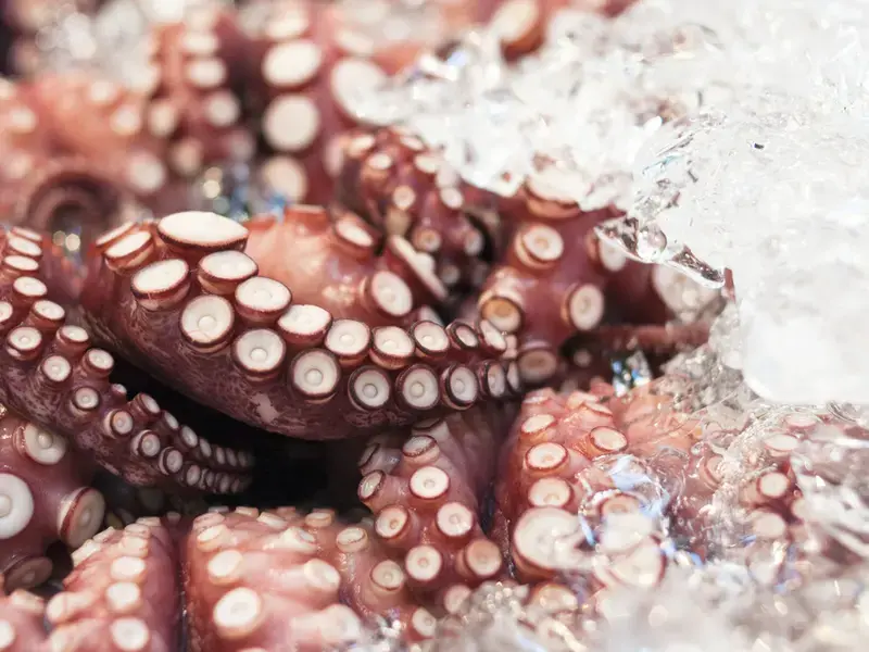 come pulire il polpo - Fine Dining Lovers