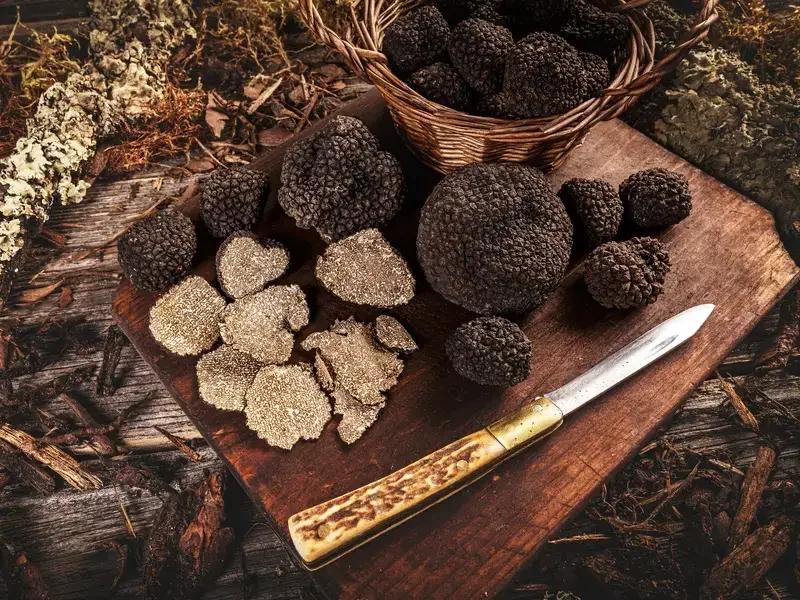 tartufo bianco o nero - Fine Dining Lovers