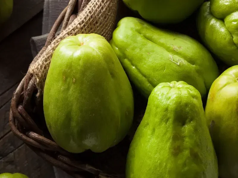 chayote - Fine Dining Lovers