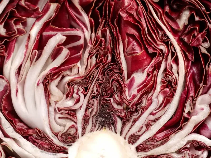 come cucinare il radicchio - Fine Dining Lovers