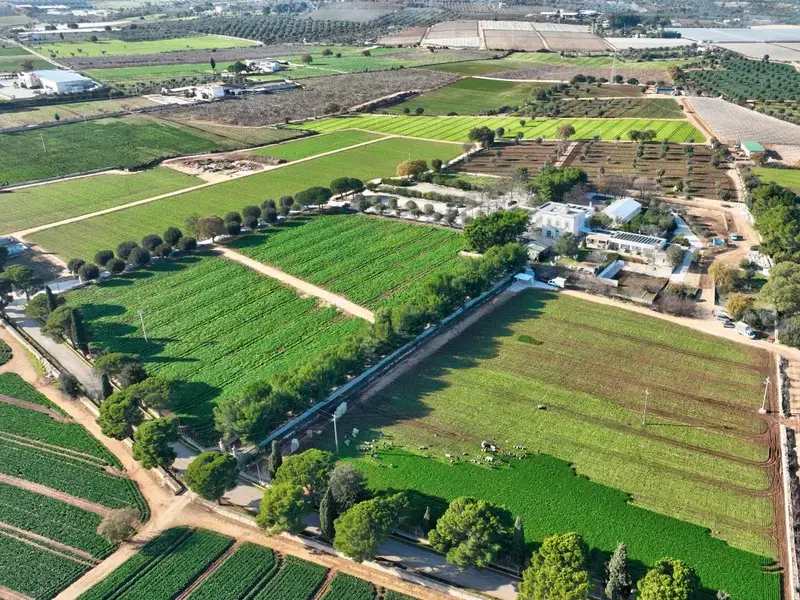 masseria mancini
