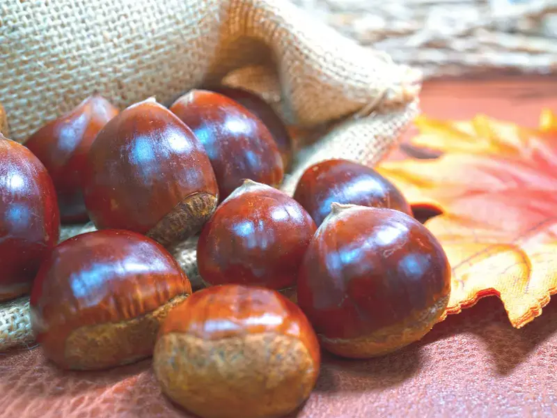 10 ricette con castagne lesse dolci e salate