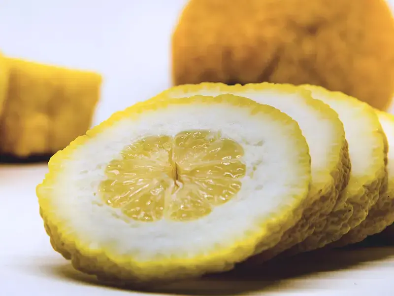 Cedro
