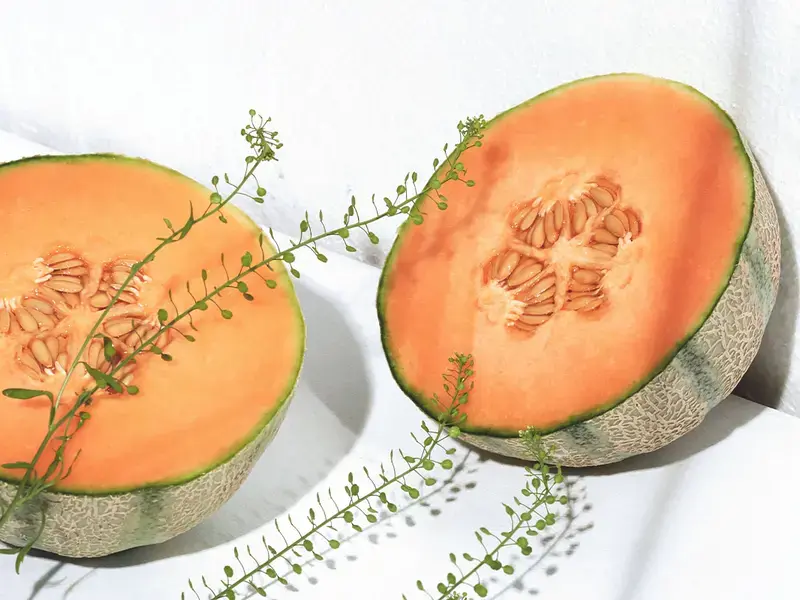 Come scegliere il melone - Finedininglovers
