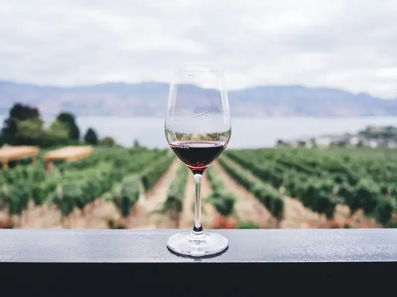 Eccedenze vino - klebe