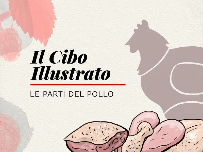 Le parti del pollo