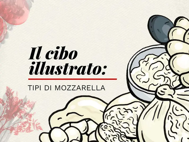 infografica tipologie di mozzarella fresca