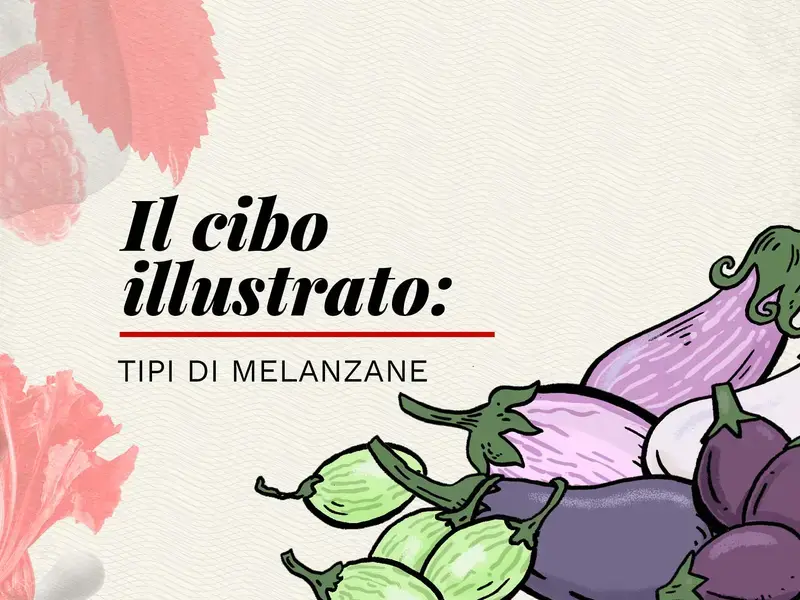 tipi di melanzane - Finedininglovers