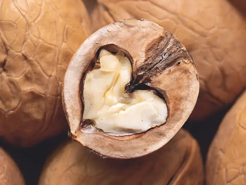 Noci